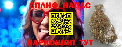 крисы Севастополь