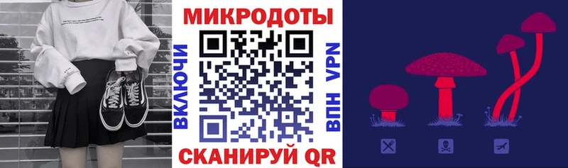 Галлюциногенные грибы Psilocybine cubensis Полевской