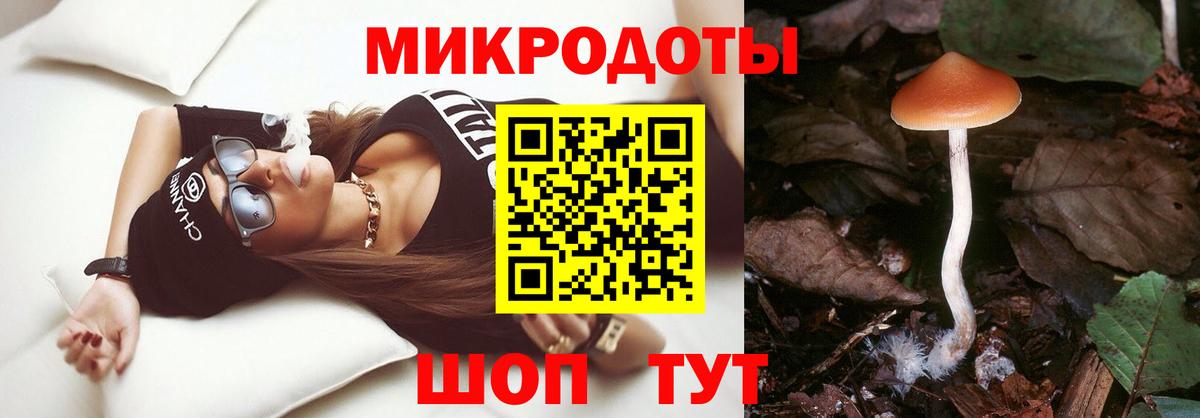 Полевской  Галлюциногенные грибы ЛСД  Вход с VPN  Псилоцибиновые грибы Psilocybe 